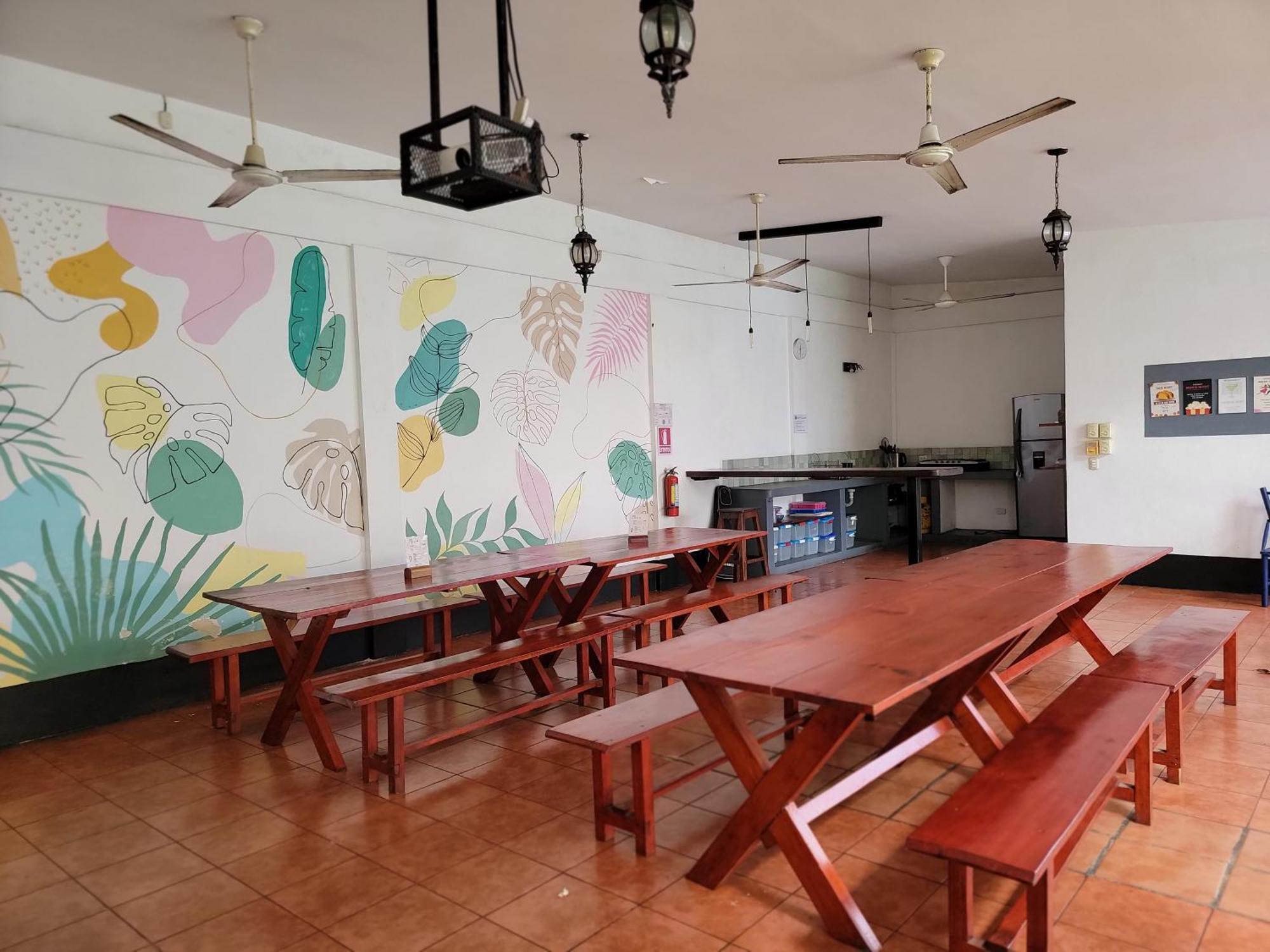 Poco A Poco Hostel Леон Экстерьер фото